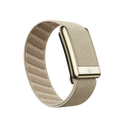 Whoop 5.0 Peak / MG Life Superknit Luxe Dune with Gold Band (Strap Only)