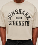 2012 Strength T-Shirt Pebble Grey - Unmatched Kicks - GYMSHARK