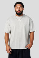 4212 - HEAVYWEIGHT TEES GREY