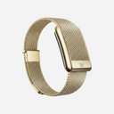 WHOOP 5.0 Meridian Gold (Band Only)