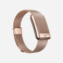 WHOOP 5.0 Meridian Rose Gold (Band Only)