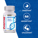 Evozyme Enzyme Complex
