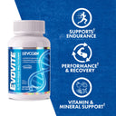 Evovite Multivitamin