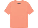 ESSENTIALS CORAL FW22 TEE