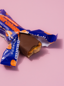 Barebells Salted Peanut Caramel 12-pack