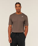 Crest T-Shirt regular fit Brown - Unmatched Kicks-GYMSHARK