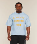 Gymshark Training Graphic T-Shirt oversized fit Chilled Blue - Unmatched Kicks - GYMSHARK