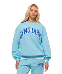 Collegiate Graphic Crew Neck Pullover oversized fit Athletic Light Blue